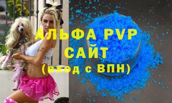 шишки Заволжск