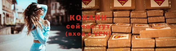 шишки Заволжск