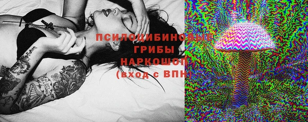 шишки Заволжск
