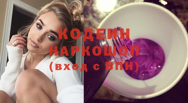 шишки Заволжск